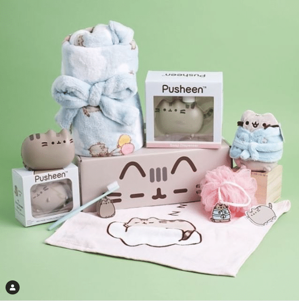 pusheen box